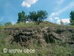 významný krajinný prvek ?Hončova hůrka? ? 336 m nadmořské výšky