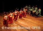 Mezinárodní folklorní festival Folklor bez hranic
