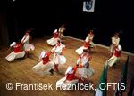 Mezinárodní folklorní festival Folklor bez hranic