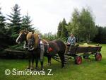 koňské spřežení p.Šustka
