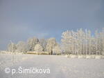 zima