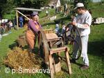 sečkovice