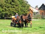 Hubertova jízda
