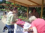 Medobraní s dětským dnem u Perníkové chaloupky 2011