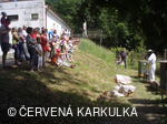 Medobraní s dětským dnem u Perníkové chaloupky 2011